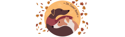 www.doktorcsontbarf.hu                        
