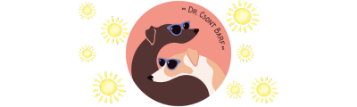 www.doktorcsontbarf.hu                        