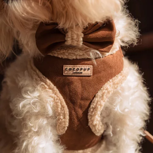 Cocopup London - Aviator hám