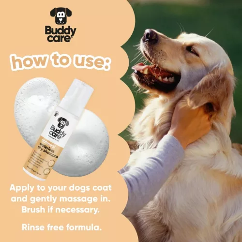 Buddycare - Oatmeal víz nélküli szárazsampon