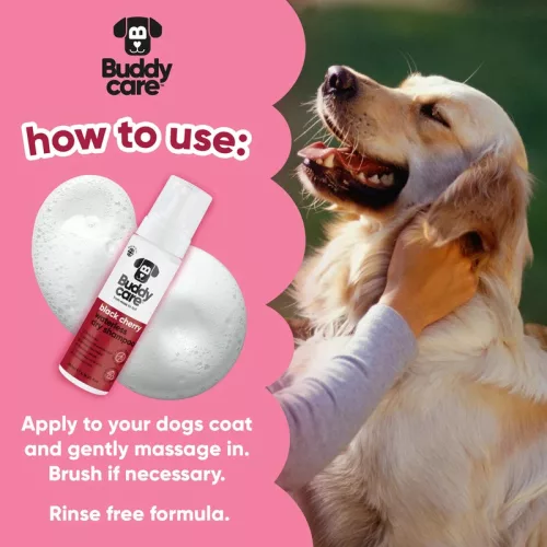 Buddycare - Black Cherry víz nélküli szárazsampon