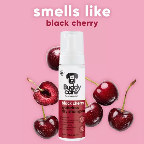 Buddycare - Black Cherry víz nélküli szárazsampon