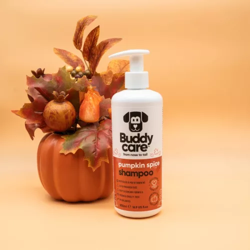 Buddycare - Pumpkin Spice Dog Shampoo 