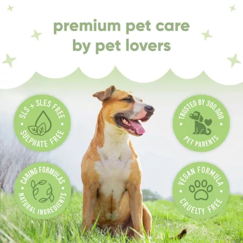 Buddycare - Aloe & Lemongrass Mancs- és Orrápoló Balzsam