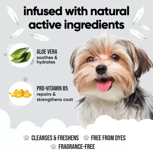 Buddycare -  Derma Sensitive Dog Shampoo – érzékeny bőrre