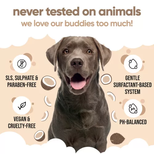 Buddycare - 2in1 Coconut Dog Shampoo & Conditioner