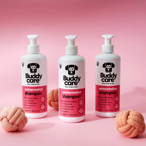 Buddycare - Watermelon kutyasampon
