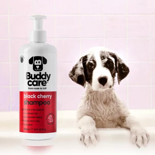 Buddycare - BLACK CHERRY kutyasampon