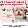 Buddycare - BLACK CHERRY kutyasampon