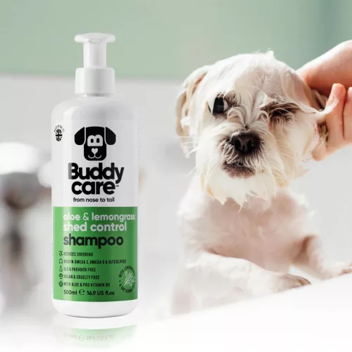 Buddycare -  SHED CONTROL kutyasampon