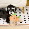 Hugsmart - Puppy Garden – Carrot Bunch