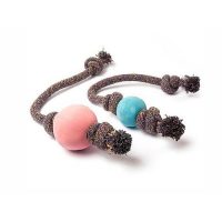 Labda, frizbi, vízi játékok