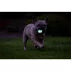 Chuckit! - Air Glow Fetch Ball S – világító kutyalabda, 2 db