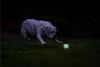 Chuckit! - Air Glow Fetch Ball M – világító kutyalabda