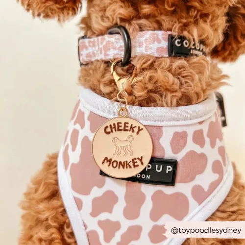 Dog Collar Charm - Cheeky Monkey