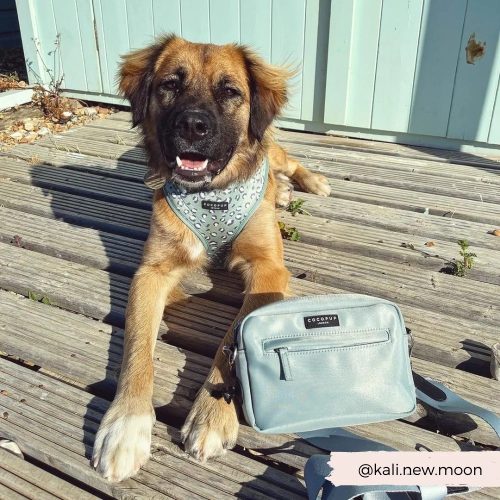 Cocopup London - Dog Walking Bag (Light Blue)