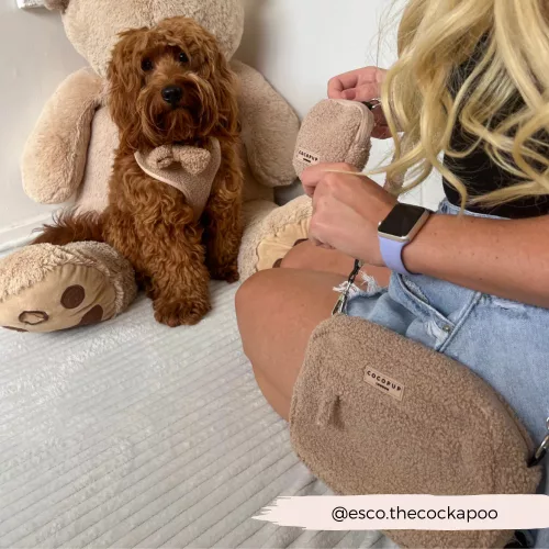 Cocopup London - Dog Walking Bag Teddy
