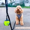 Tennis Ball Holder 