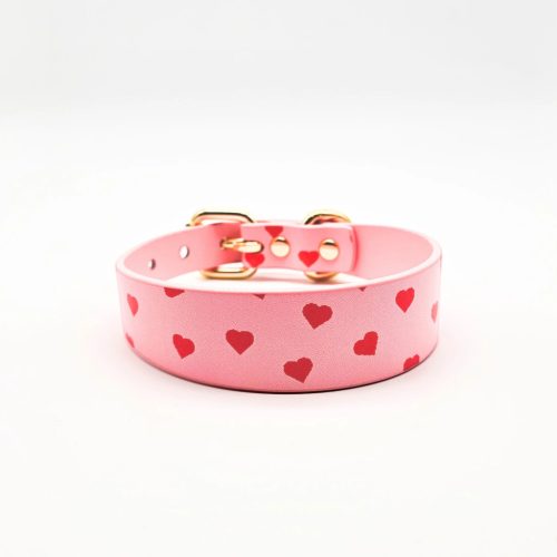 Collar of Sweden - Love Dog Collar