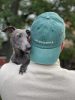 Green Denim Cap - The Dogfather