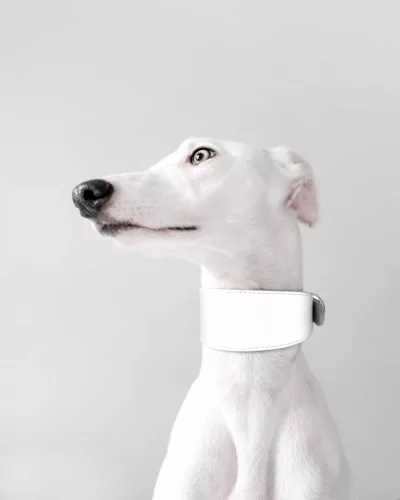Collar of Sweden - Reflex nyakörv vékony