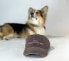 Collar of Sweden - Brown Denim Cap - Dogs. Because People Suck