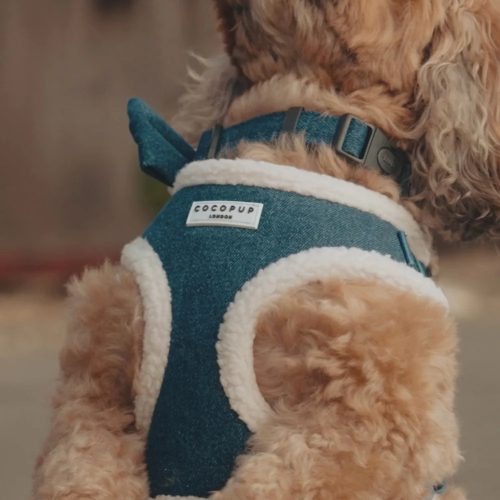 Cocopup London - Farmer hám