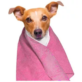   Doogy Cooling Pet törölköző 66x43cm - hűsítő törölköző kutyáknak és macskáknak