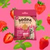 SOOPA -Strawberry Dog-Quiri Healthy Bites