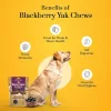 Dog Chew Medium Himalájai Jak Sajtrágcsa - Szederrel 140g (2 db)