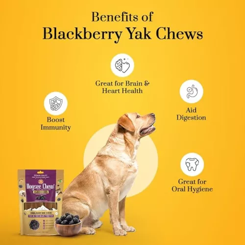 Dog Chew Medium Himalájai Jak Sajtrágcsa - Szederrel 140g (2 db)