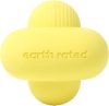 Earth Rated - Fetch Toy L-es