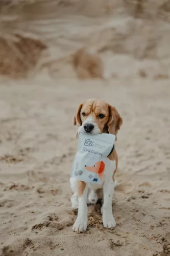 Eli Pet - Szárított tőkehalbőr kockák kutyáknak 80 g 