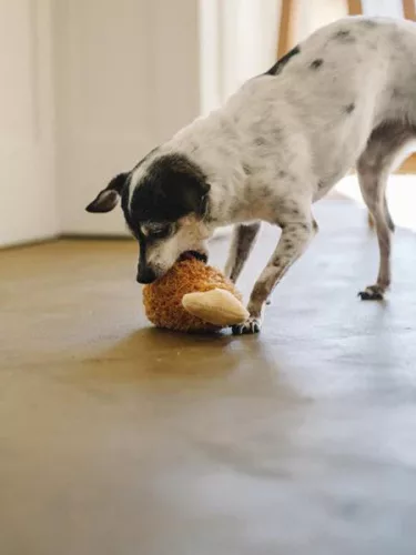 PetPlay American Classic – Fried Chicken plüss kutyajáték sípolóval