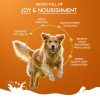 Pawfect - Nature’s Sip – Kecsketejpor sütőtökkel, sütőtök maggal, almával és fahéjjal 