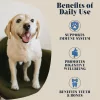 Hackney Dog House - Whole Goats Milk – Kecsketejpor kutyáknak