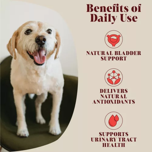 Hackney Dog House - Urinary Cranberry – Tőzegáfonyás húgyúti támogatás kutyáknak