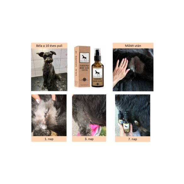 Bio ezüst spray kutyáknak, macskáknak, Lila Loves It