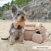 Cocopup London - Large Dog Walking Bag Teddy Rupert