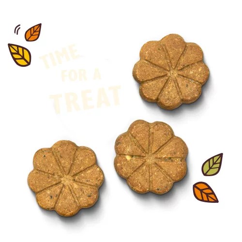 Lily's Kitchen - Breaktime Biscuits – Ropogós jutalomfalat kutyáknak (80 g)