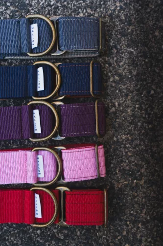 MALLOW - Martingale Whippet nyakörv