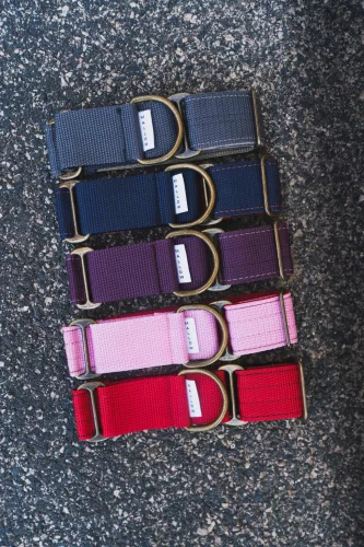 MALLOW - Martingale Whippet nyakörv