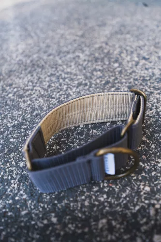 MALLOW - Martingale Whippet nyakörv