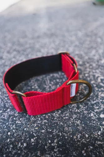 MALLOW - Martingale Whippet nyakörv