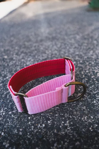 MALLOW - Martingale Whippet nyakörv