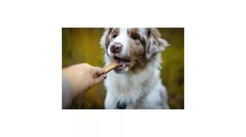 Marly & Dan - Energy Jerky for Dog