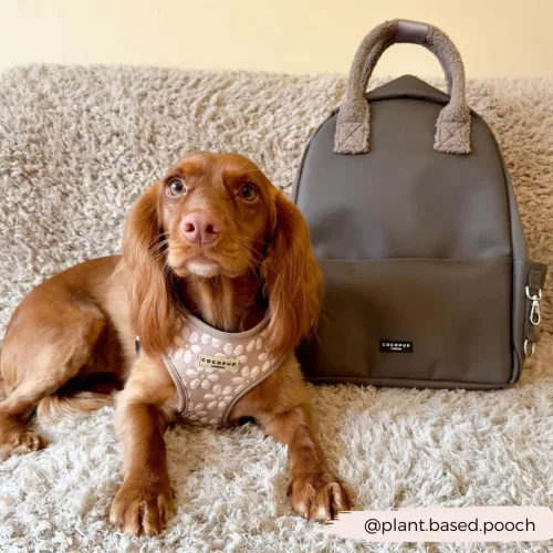 Cocopup London - Mocha hátizsák