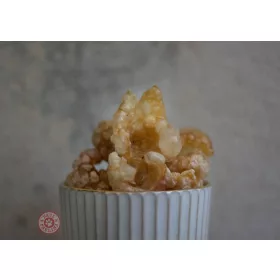 Popcorn kutyáknak