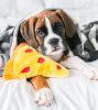 Zippy Paws NomNomz® - Pizza