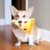 Zippy Paws NomNomz® - Pizza